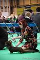 Crufts2011_2 1652